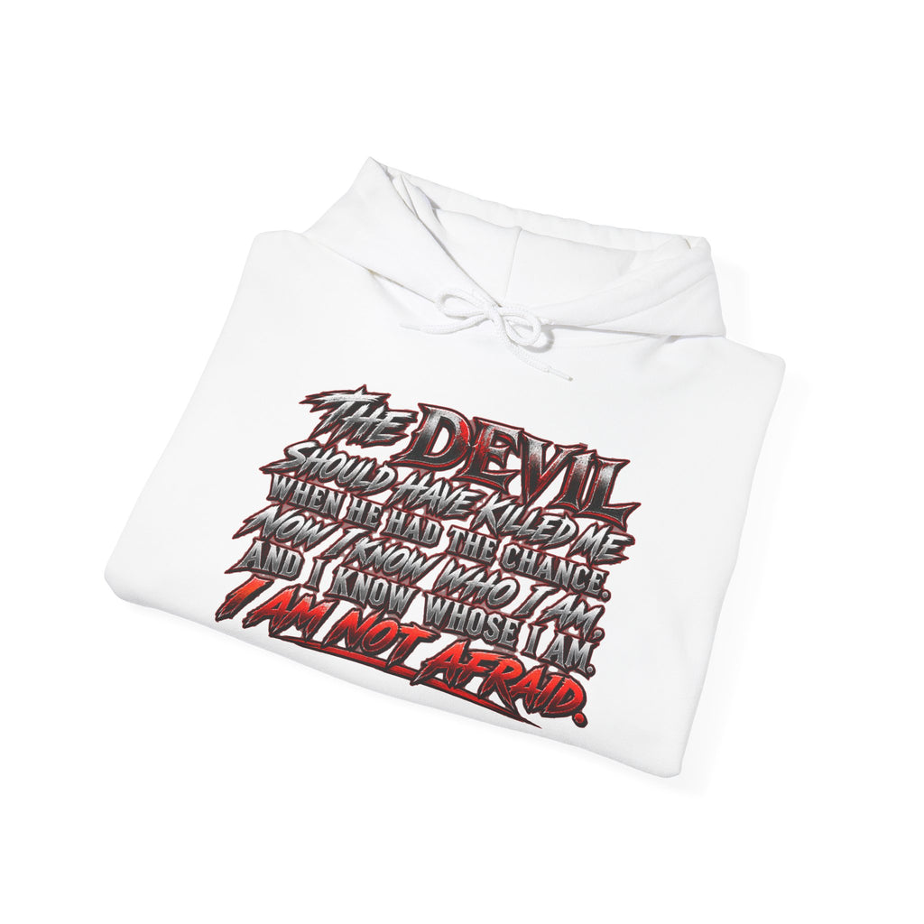 The Devil Is in the Details Graphic Hoodie