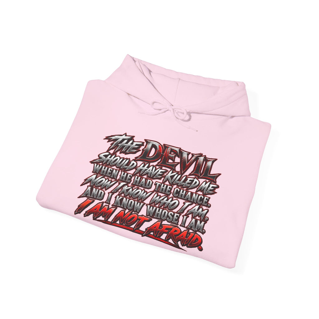 The Devil Is in the Details Graphic Hoodie