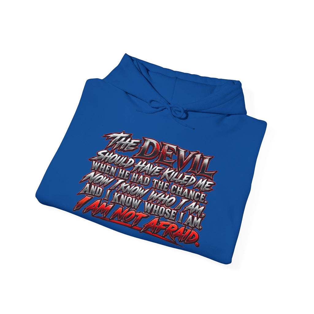 The Devil Is in the Details Graphic Hoodie