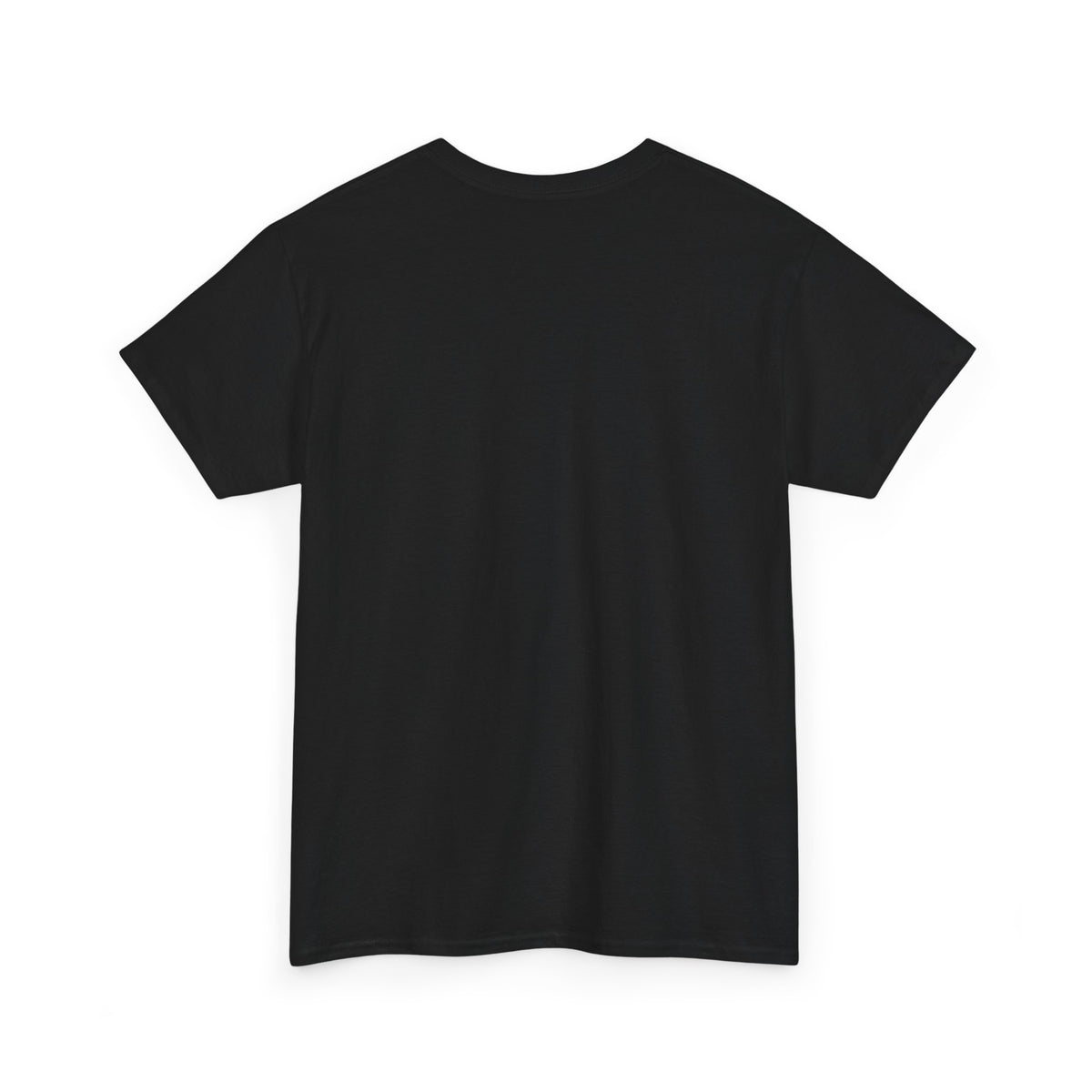 Faith No Fear Christian Graphic T-Shirt