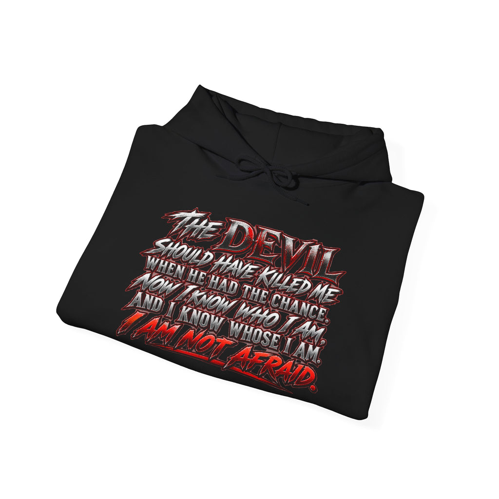Hoodie - "The Devil and The One Choice" Graphic Pullover
