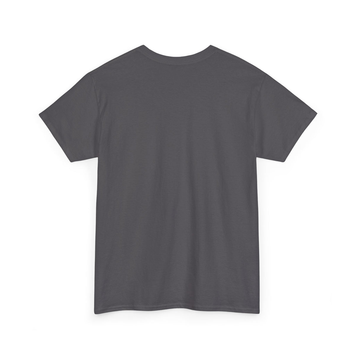 Benjamin Franklin Portrait — Tax After Tax Political T-Shirt