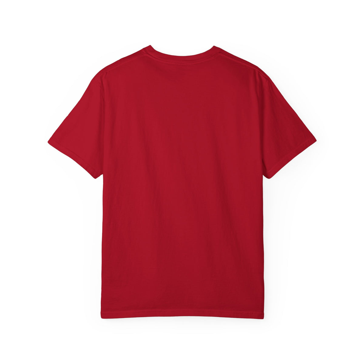 1776 Revolutionary Soldiers America First T-Shirt | Home of the Free